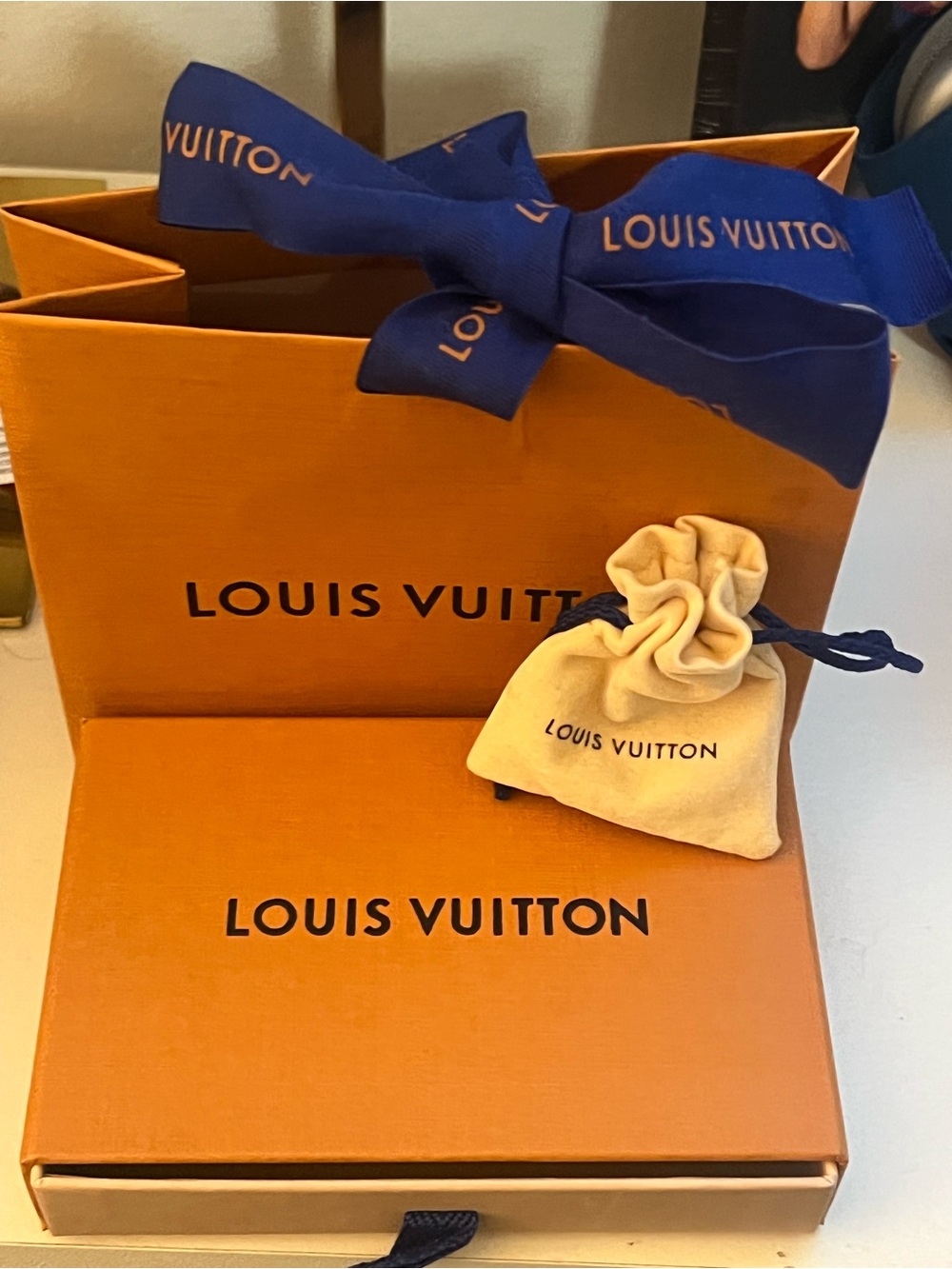 Louis Vuitton LV Earrings - Picture 2 of 7